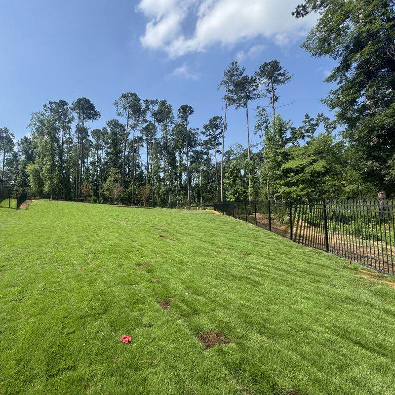 Lawn care in the Augusta area