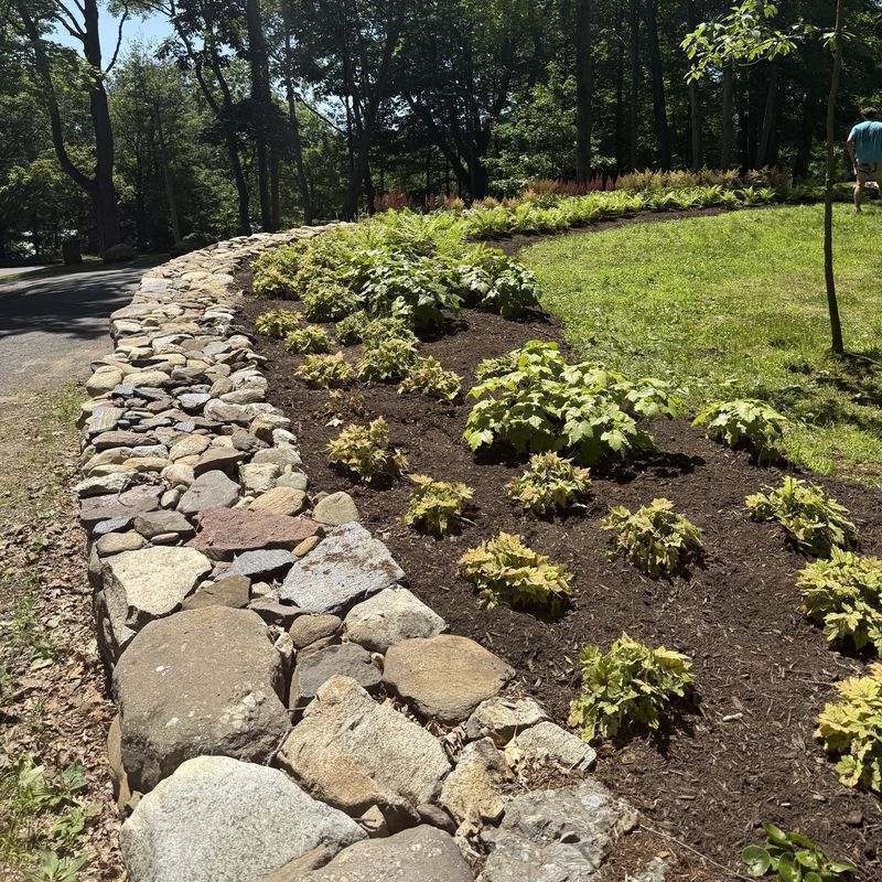 Lawn care in Western Massachusetts