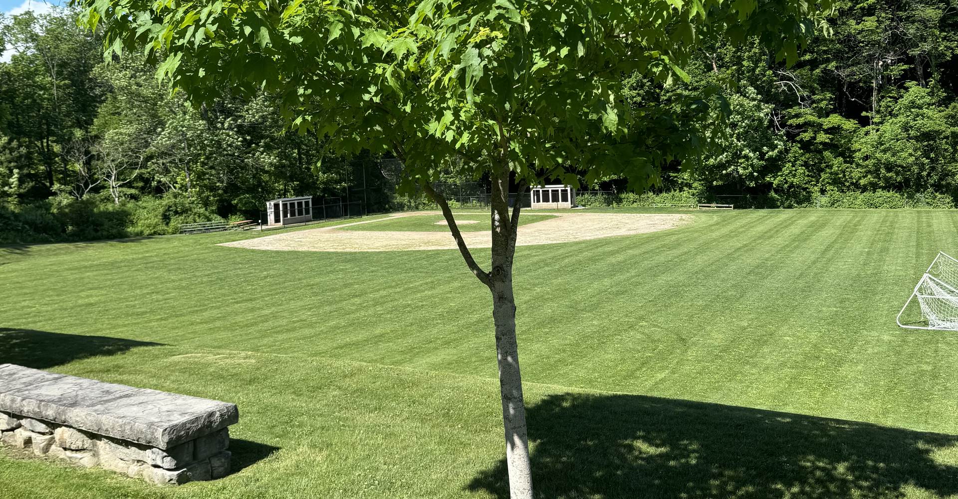 A freshly mowed, striped lawn